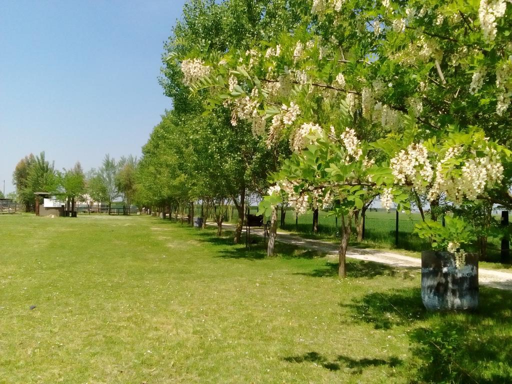 Antico Casale Dei Sogni Agriturismo Lugo  Exteriér fotografie