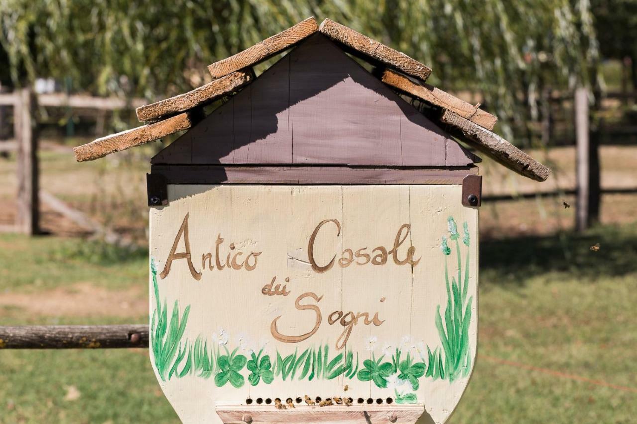 Antico Casale Dei Sogni Agriturismo Lugo  Exteriér fotografie